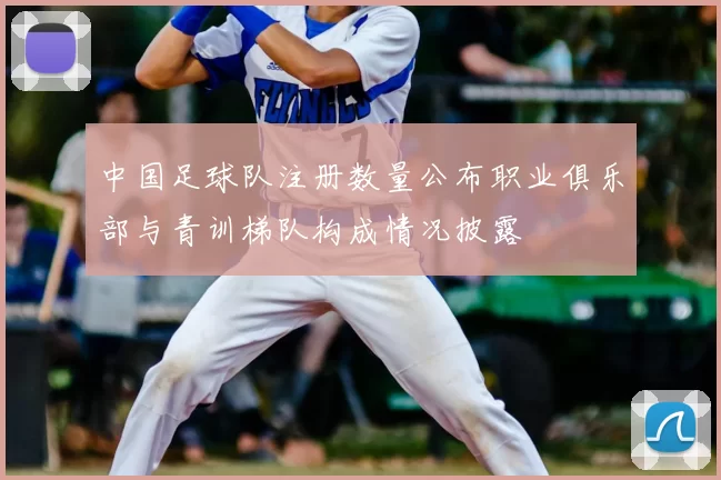 中国足球队注册数量公布职业俱乐部与青训梯队构成情况披露